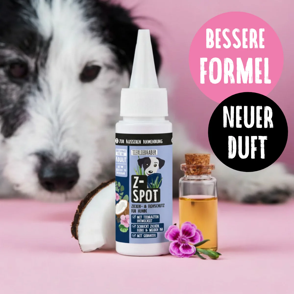 Natürliche Kraft für glückliche Hunde